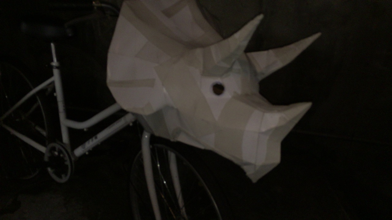 IMG_5925 Dinobike Head assembled.